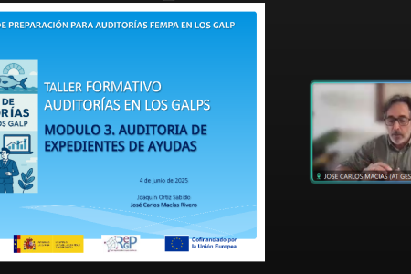 taller formativo auditorías en DLP II