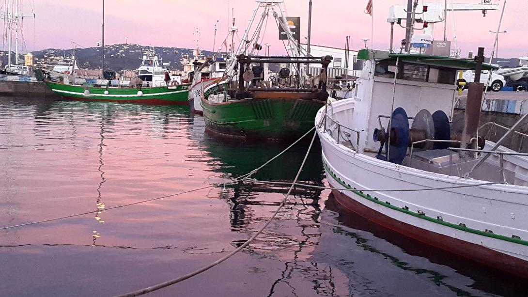 Puerto_palamos_mañas_cristina