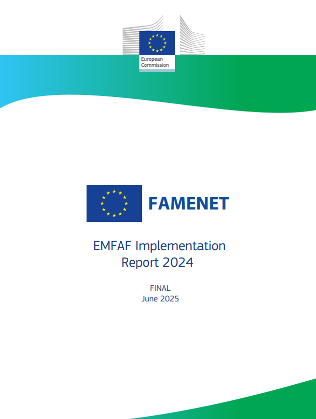 PORTADA INFORME EJECUCIÓN FEMPA 2024.PNG