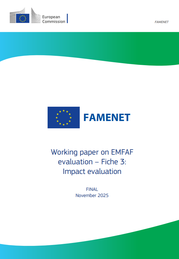 portada informe FAMENET evaluación resultados.PNG