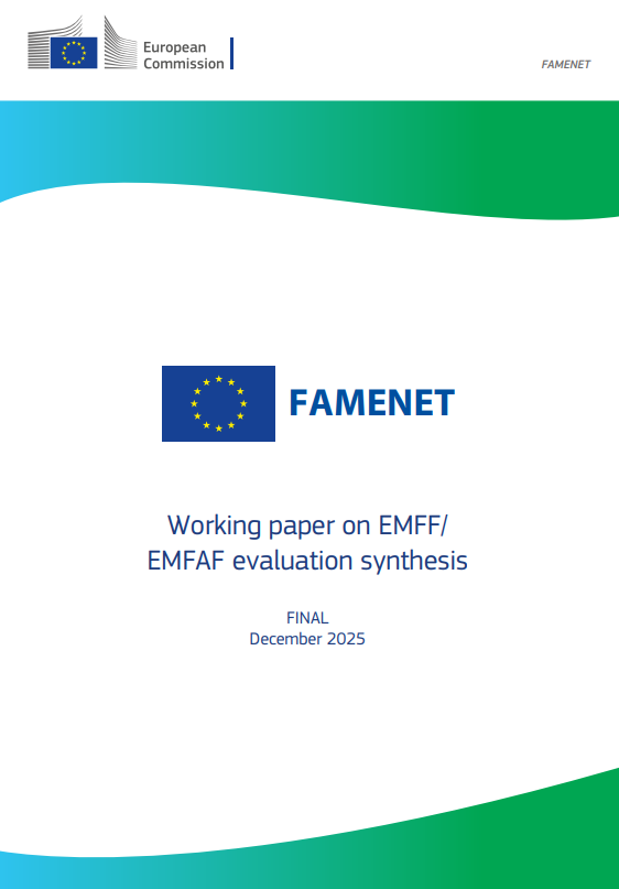 PORTADA WP evaluación del FEMP FEMPA síntesis