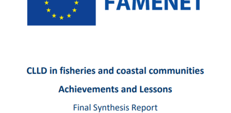 portada_informe_final_FAMENET.PNG