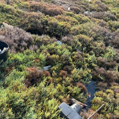 Imagen de la limpieza que se está llevando a cabo en la zona.