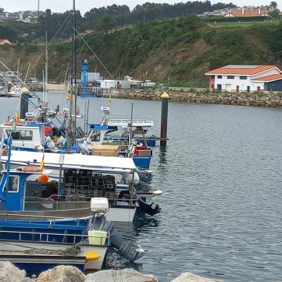 Cofradía de pescadores de Luanco (Gozón)