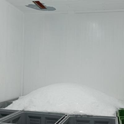 Fabrica de hielo de escamas
