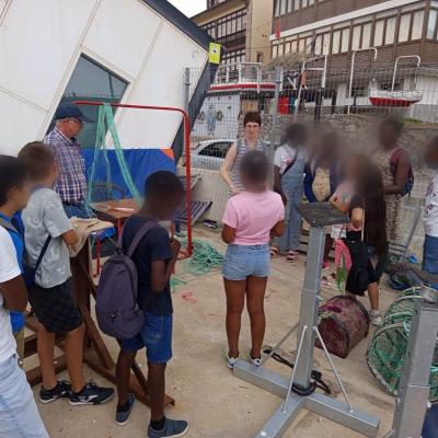 proyecto elige desde el conocimiento 1