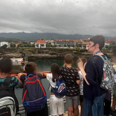 proyecto elige desde el conocimiento 5