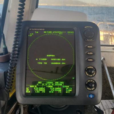 piloto