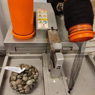 Grapadora-etiquetadora 1