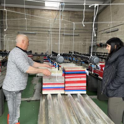 vivero de poliquetos