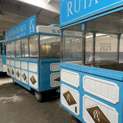 TREN TURÍSTICO 2