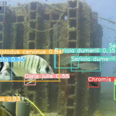 imagen de la monotorización submarina