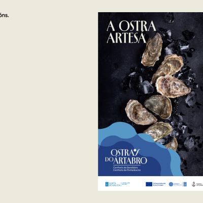 ostras-artabro_10.jpg