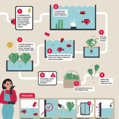 infografía unidad acuapónica