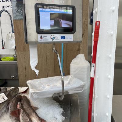 PUESTO PESCADOS 3