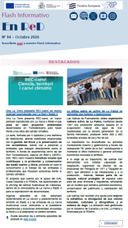 portada flash 84.png