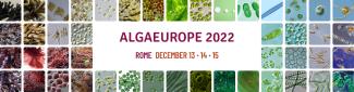 algae_europe_2022.jpg