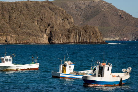 Barcos pesqueros en costa andaluza