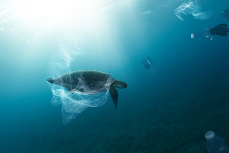 tortuga nadando en el mar alrededor de basura