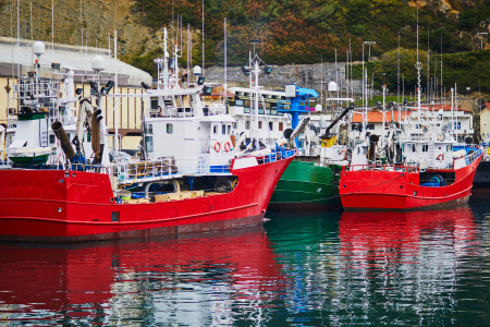 Barcos País Vasco