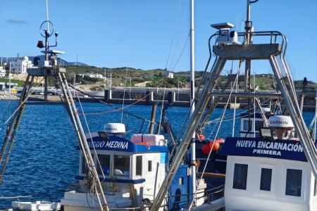 barcos