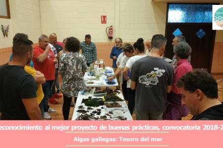 1.Algas gallegas-tesoro del mar.jpg