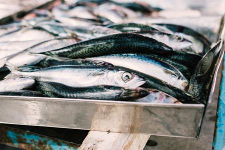 raw-anchovies-at-fish-market.jpg