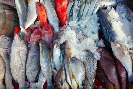 raw-fish-on-market.jpg