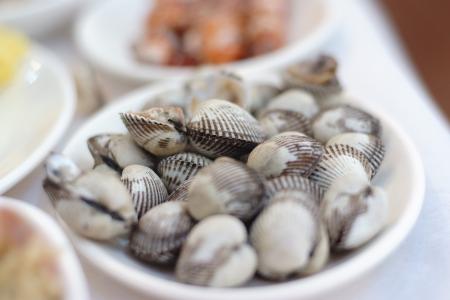 Berberecho_noia_promocion_pescados_y_mariscos