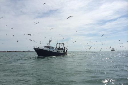 Pesca_artesanal_1