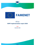 PORTADA_INFORME_EJECUCION_FEMP_FAMENET.PNG