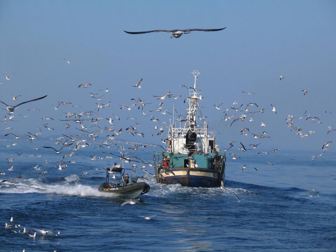 Barco pesca