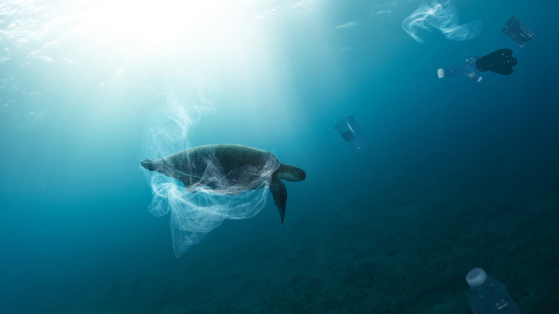 tortuga nadando en el mar alrededor de basura