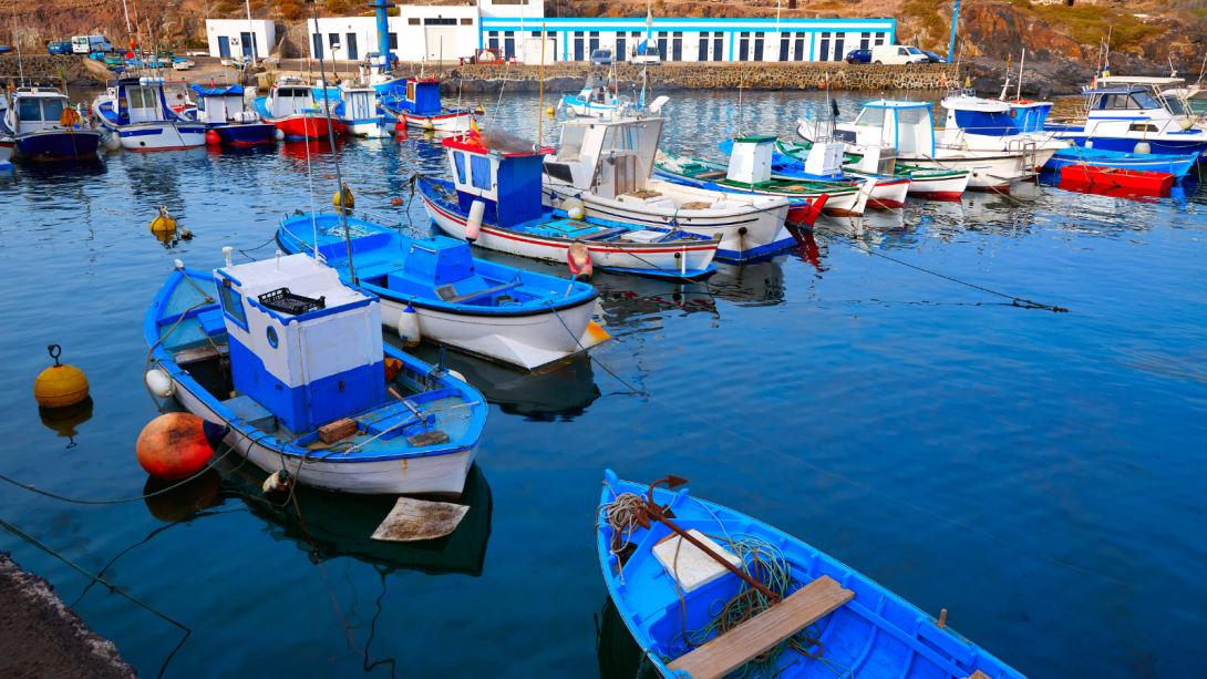 barcos de pesca en canarias