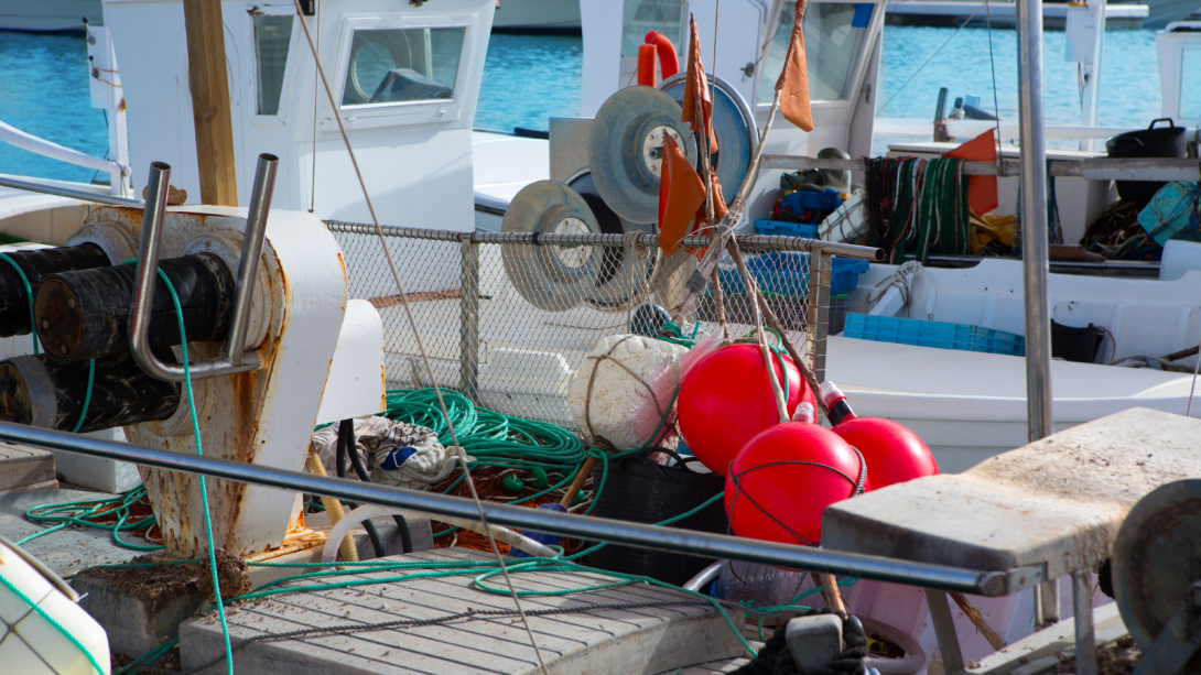 Barcos Baleares