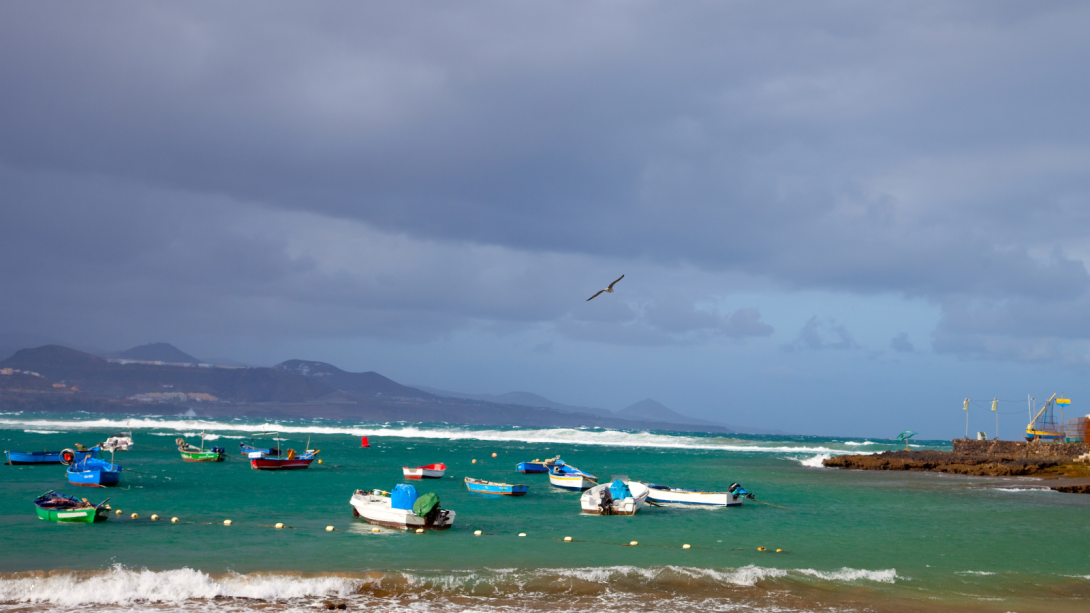 Barcos Canarias