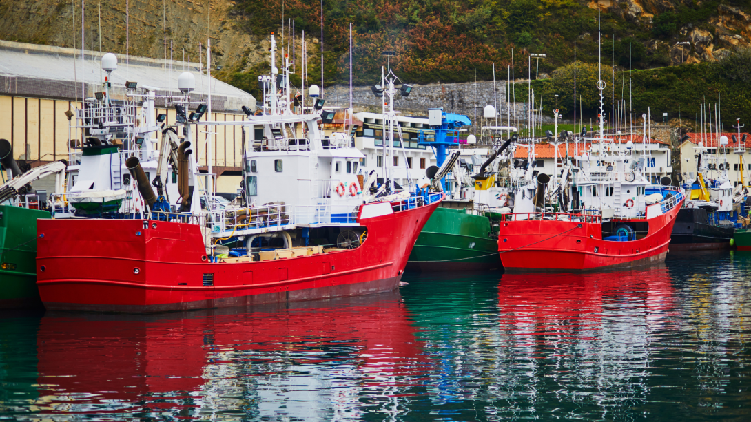 Barcos País Vasco