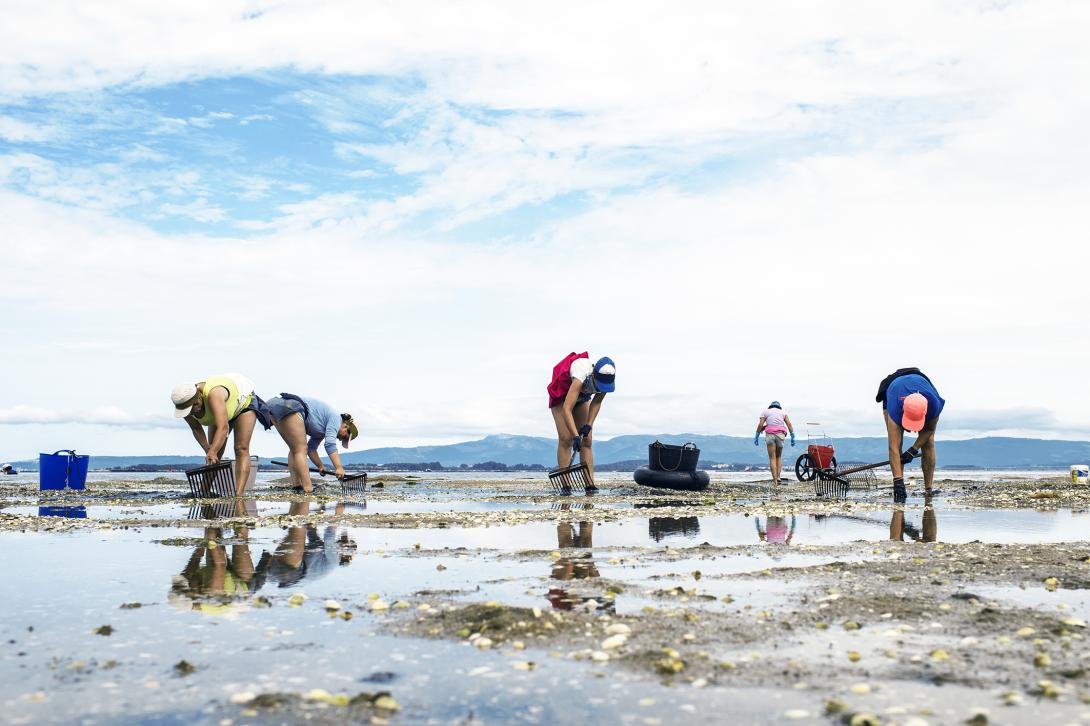 mujeres mariscadoras