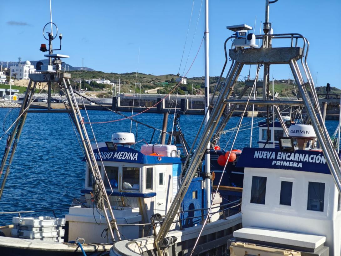 barcos