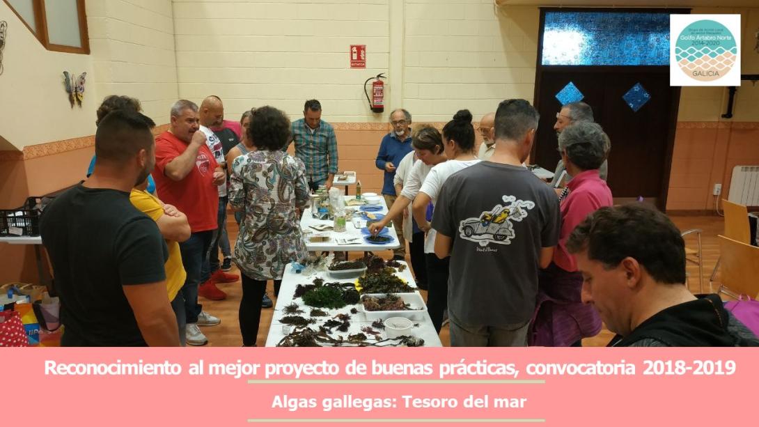 1.Algas gallegas-tesoro del mar.jpg