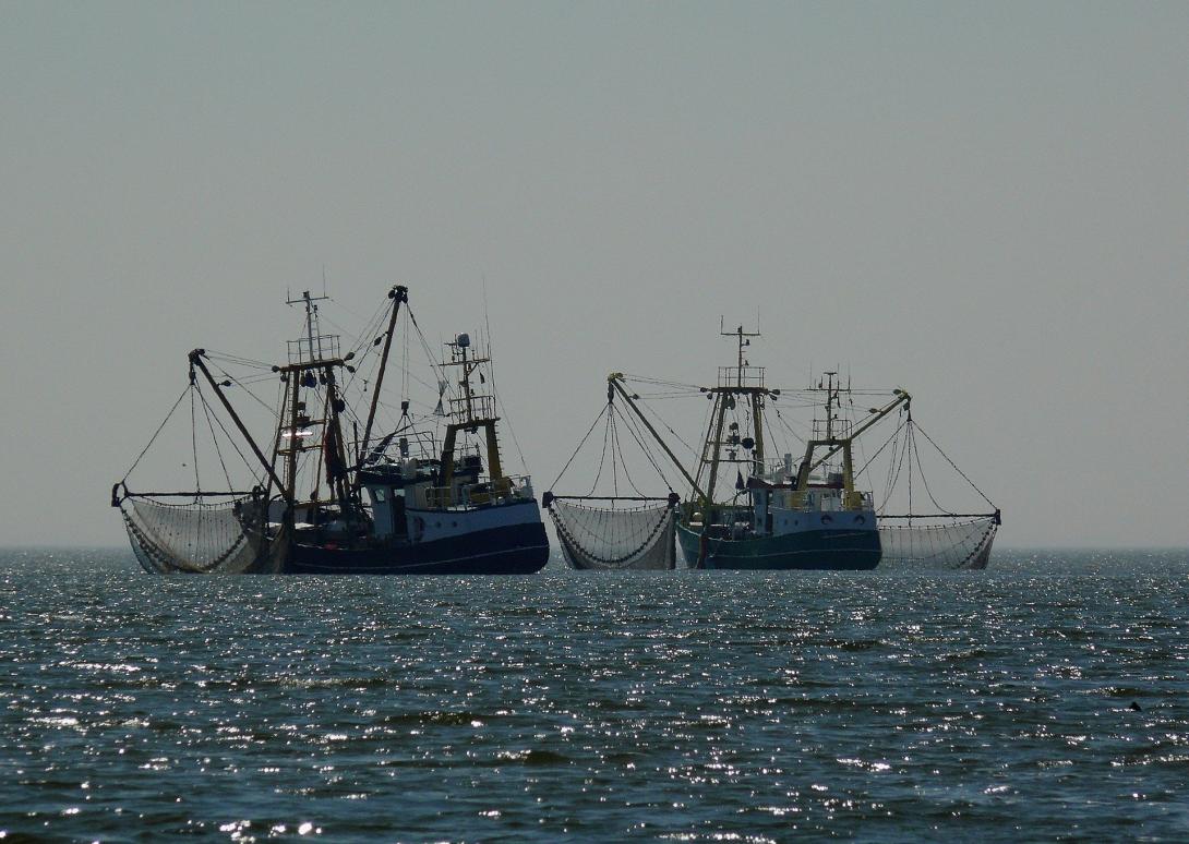 curso_patron_de_pesca_gac_tenerife.jpg