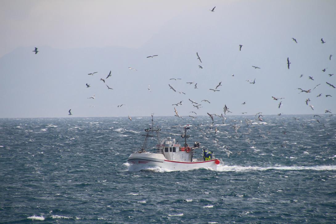 fishing-boat-g9c0ec9121_1920.jpg