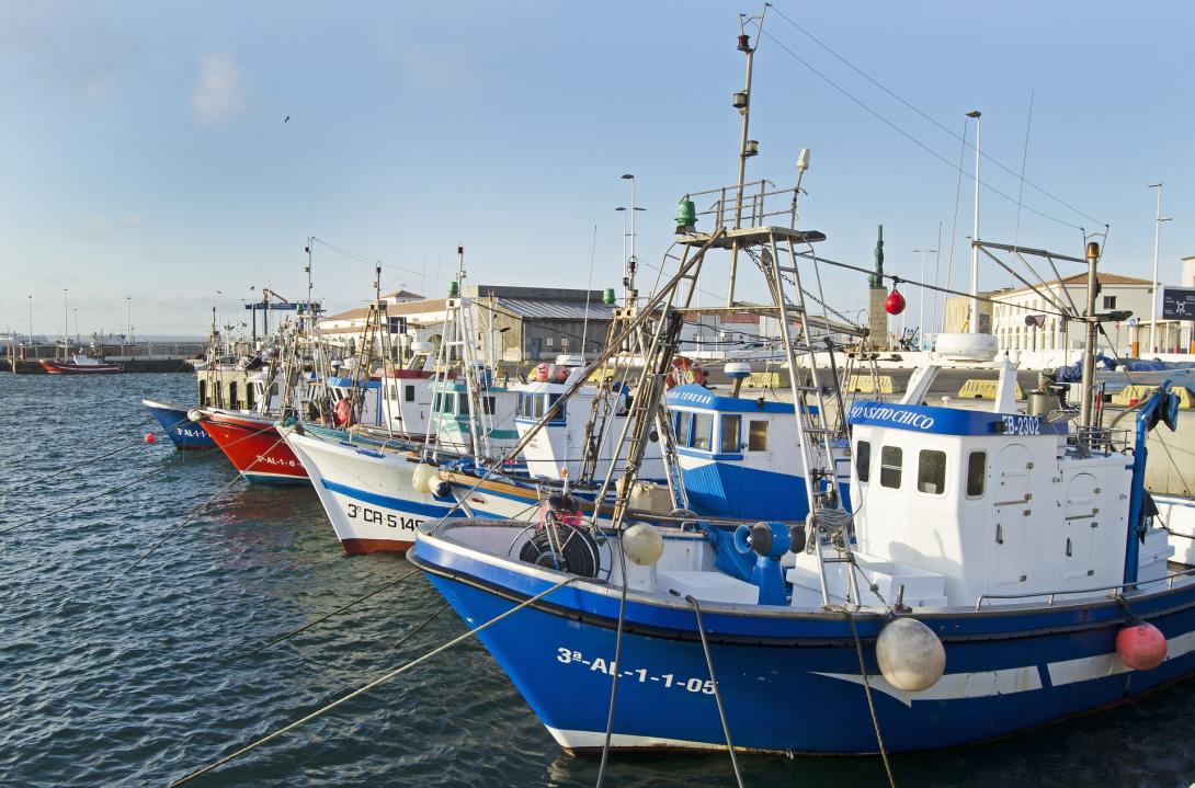 fishing-boats-3812832_1920.jpg