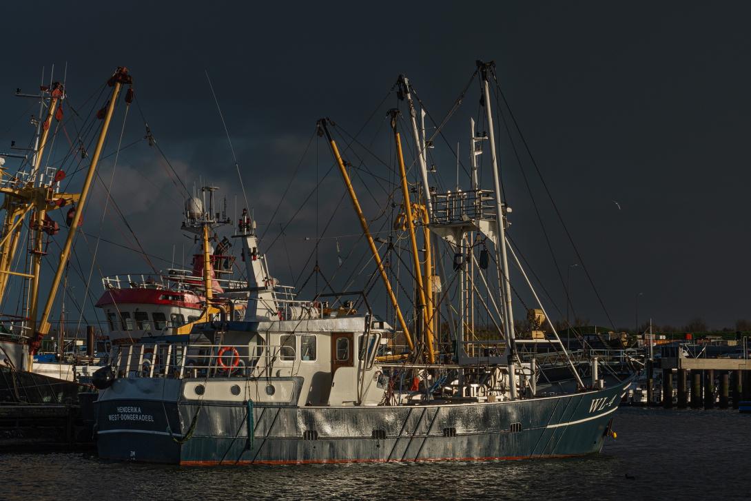 fishing-boats-g1b7b55e7e_1920.jpg