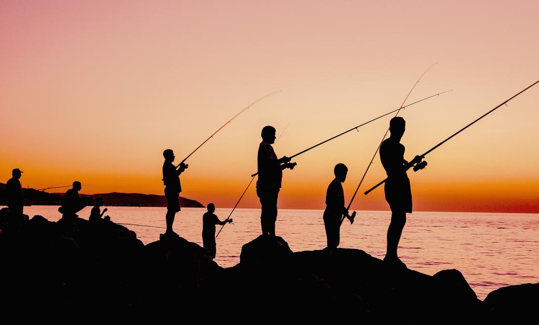 fishing-g79dd93263_1920.jpg