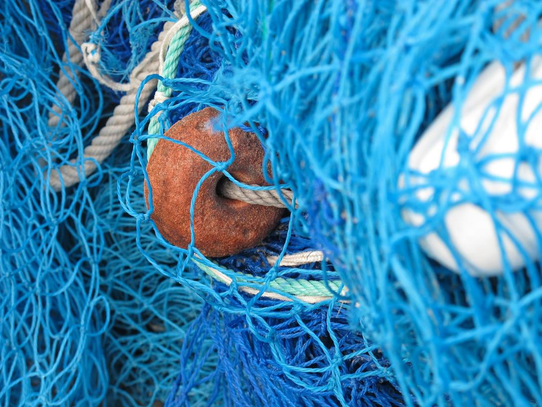 fishing-net-557249_1920.jpg