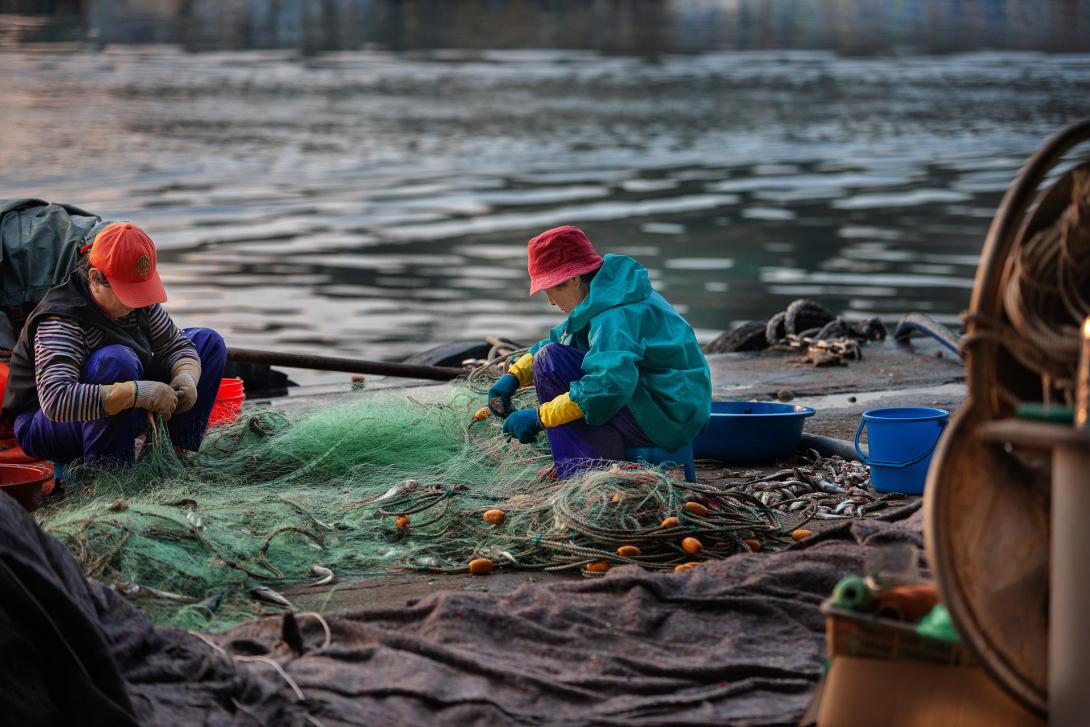 fishing-net-g581541d98_1920.jpg