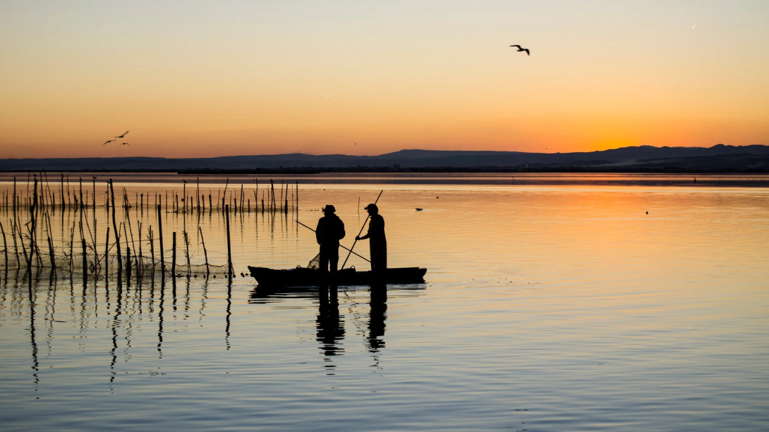 la_albufera_navegar.png