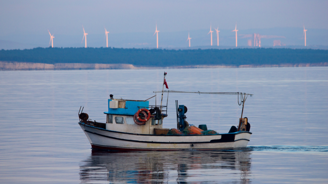 pesca_turismo_barcos.png