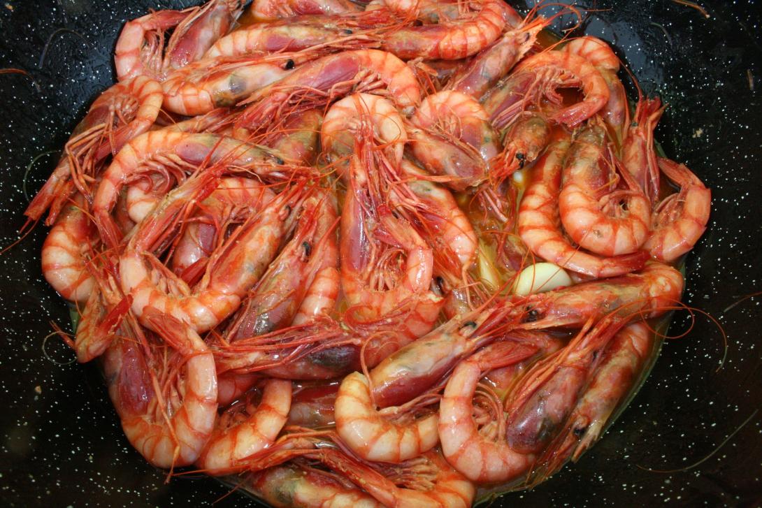 prawn-1167942_1920.jpg